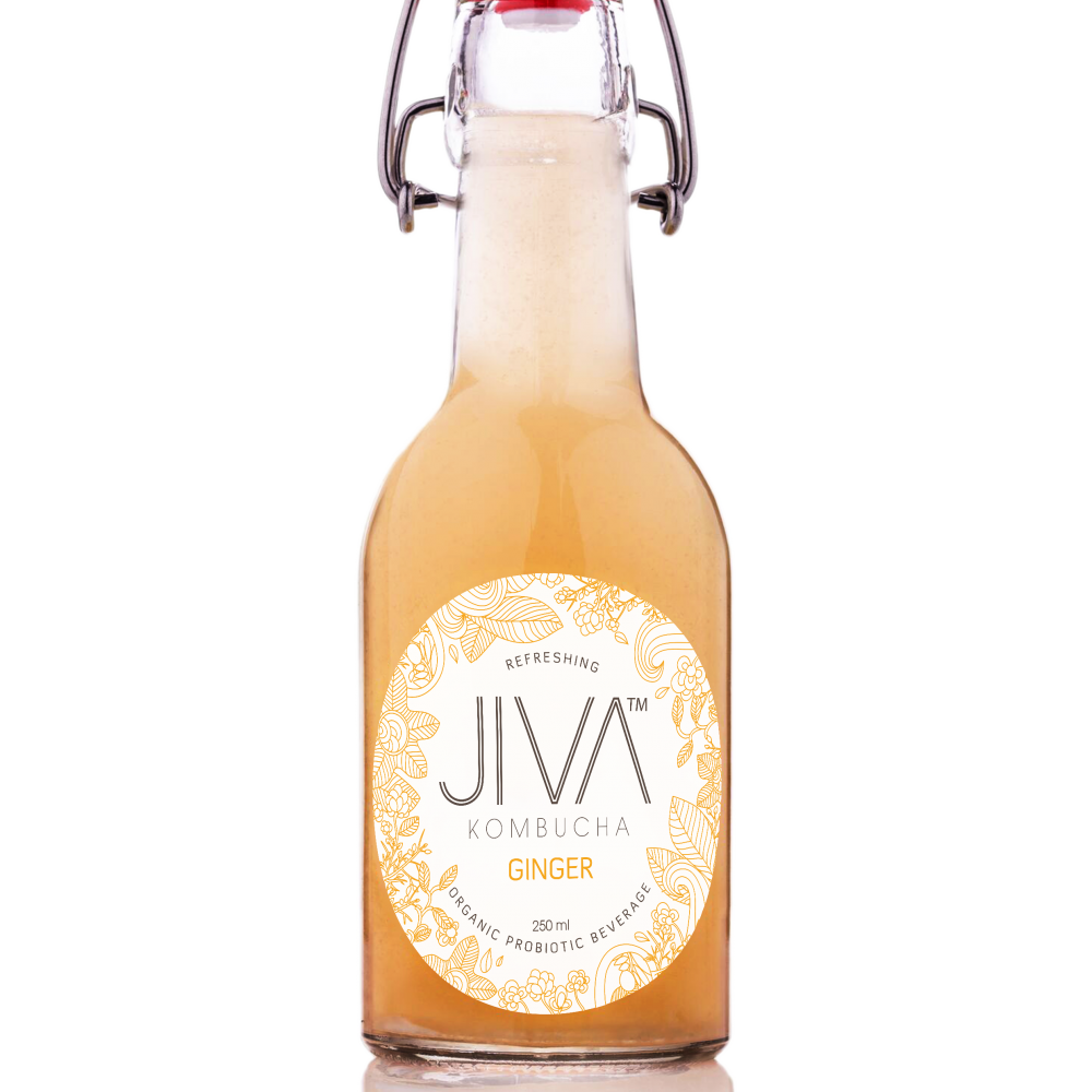 JIVA Ginger Kombucha